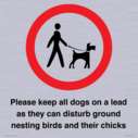 please-keep-all-dogs-on-a-lead-as-they-can-disturb-ground-nesting-birds-and-thei~